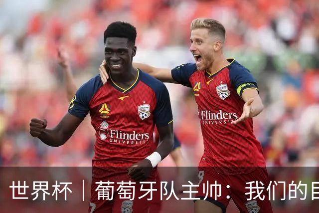 世界杯｜葡萄牙队主帅：我们的目标是打满八场比赛