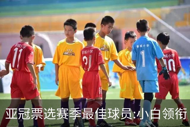 亚冠票选赛季最佳球员:小白领衔 奥古比埃拉上榜