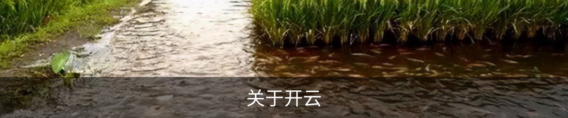 关于开云