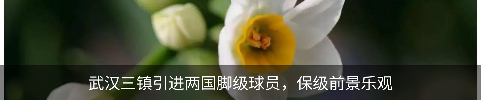 新闻中心