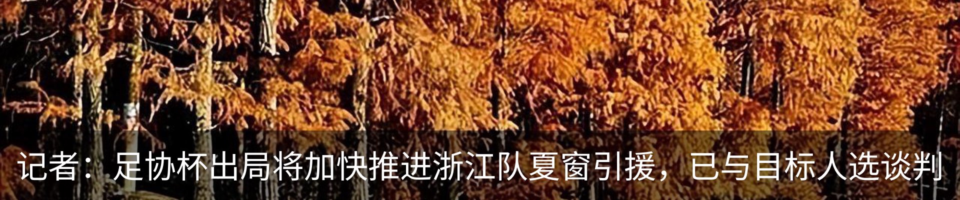新闻中心